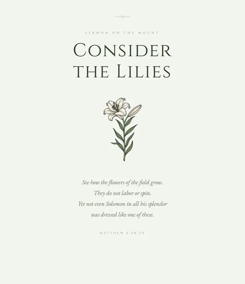View 3 of Look at the Birds, Consider the Lilies, Do Not Worry: Matthew 6 Scripture Wall Art Set of 3