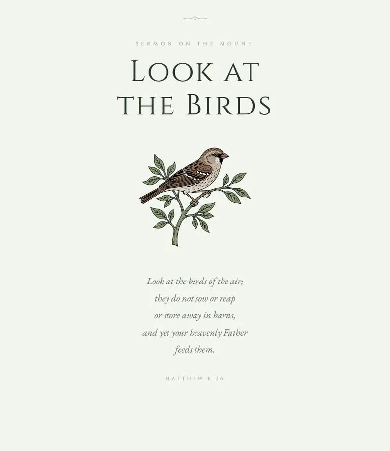 View 4 of Look at the Birds, Consider the Lilies, Do Not Worry: Matthew 6 Scripture Wall Art Set of 3