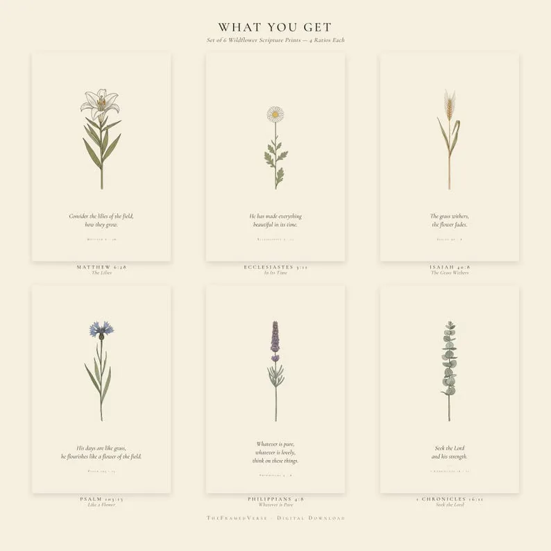 View 4 of Consider the Lilies: Wildflower Scripture Wall Art Set of 6
